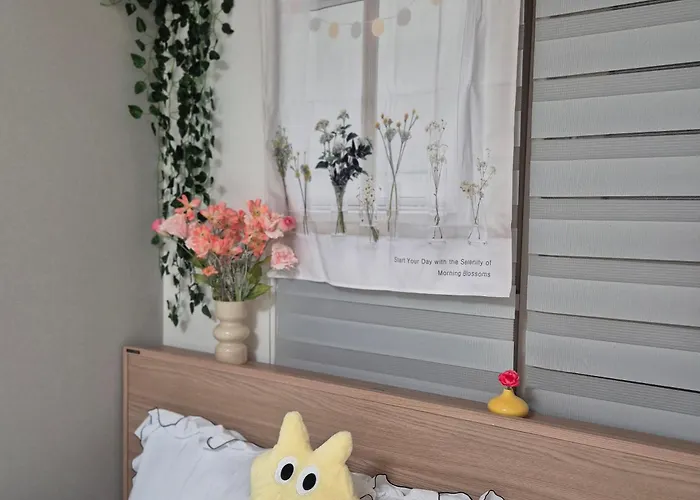 #6906 Dorm Bed In A Triple Station Area In 강남 신논현역